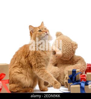 Ingwer Katze sitzt in der Mitte von Schachteln in braunem Papier eingewickelt und gebunden mit Seidenband, Geschenke und ein Tier auf weißem Hintergrund, Geburtstag greeti Stockfoto