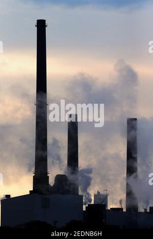 14,11.2020, Salzgitter, Niedersachsen, Deutschland - Silhouette: Rauchschornsteine des Stahlwerks Salzgitter AG.. 00S201114D578CAROEX.JPG [MODELLVERSION: Stockfoto