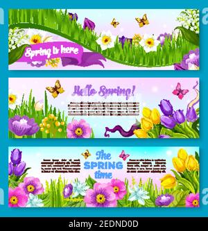 Frühling Blume Banner Set. Frühlingsblumen Hintergrund von grünem Gras mit Tulpe, Narzissen, Maiglöckchen und Krokusblüten mit fliegendem Butterf Stock Vektor