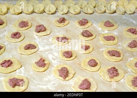 Rohe hausgemachte Knödel mit gehacktem Huhn Stockfoto