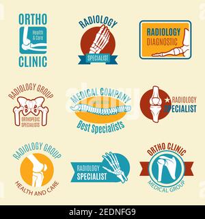 Symbol-Set für orthopädische Klinik und Radiologie-Diagnostikzentrum. Hand-, Fuß-, Knie-, Wirbelsäule-, Ellenbogen-, Becken- und Schulterknochen mit Gelenken. Medizinisches Unternehmen Stock Vektor