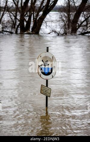 03,02.2021, Duisburg, Nordrhein-Westfalen, Deutschland - Hochwasser am Rhein, Bäume stehen auf dem Deich im Marxloh-Kreis unter Wasser. 00X210203D0 Stockfoto