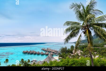 Tropische Landschaft mit Kokospalme im tropischen Luxus Overwater Bungalow Urlaubsresort. Stockfoto