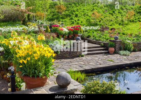 Eine farbenfrohe Ausstellung verschiedener Frühlingszwiebeln in den Lakeside Gardens im RHS Harlow Carr Garden, bei Harrogate, North Yorkshire, England, Großbritannien Stockfoto