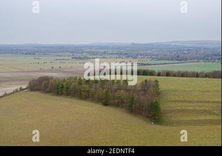 Blick auf den südlichen Rand des Pewsey Vale mit Coppewald in der up-faulted Tal in der Nähe von Pewsey, Wiltshire, Wiltshire, North Wessex Downs AONB Stockfoto