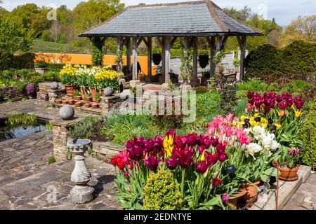 Eine farbenfrohe Ausstellung verschiedener Frühlingszwiebeln in den Lakeside Gardens im RHS Harlow Carr Garden, bei Harrogate, North Yorkshire, England, Großbritannien Stockfoto