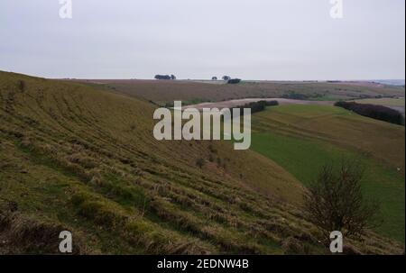Blick auf den verworfenen südlichen Rand des Pewsey Vale mit Coppewald im verwinkelten Tal in der Nähe von Pewsey, Wiltshire, North Wessex Downs AONB Stockfoto