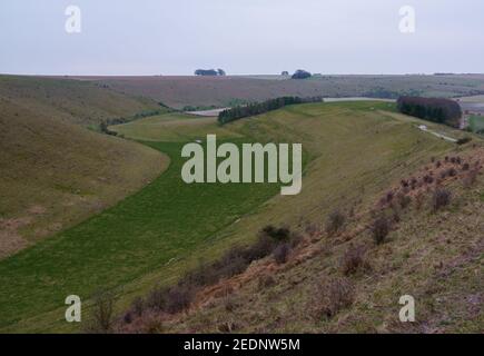 Blick auf den verworfenen südlichen Rand des Pewsey Vale mit Coppewald im verwinkelten Tal in der Nähe von Pewsey, Wiltshire, North Wessex Downs AONB Stockfoto