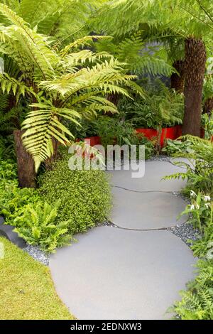 Moderner zeitgenössischer Garten Baumfarne Farne Dicksonia Antarktis und Squarrosa Steinpflaster gepflasterter Gartenweg im modernen Vorgarten, London England Großbritannien Stockfoto