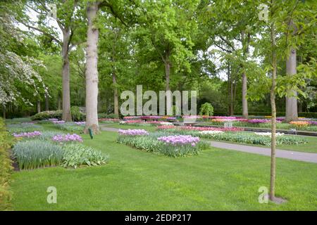 Schöner Garten mit einer Vielzahl von Blüten und üppig grünen Laub. Stockfoto