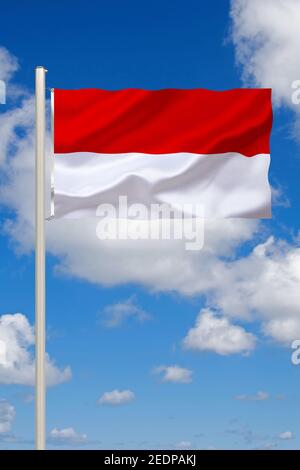 Flagge von Hessen, Deutschland, Hessen Stockfoto