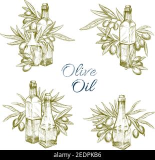 Olivenöl Flasche mit Zweig und Frucht Skizze Set. Glasflasche und Krug mit extra nativem Öl mit frischen Olivenfrüchten, Blatt und Zweig isoliert Symbol für ol Stock Vektor