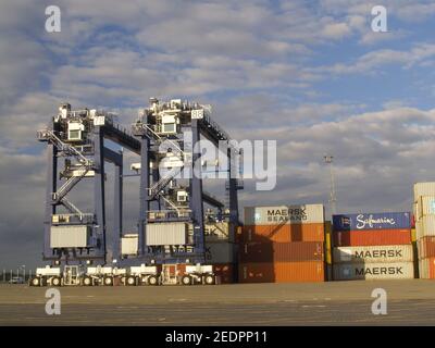 Container, die darauf warten, auf ein Schiff im Hafen von Felixstowe Docks verladen zu werden. Stockfoto