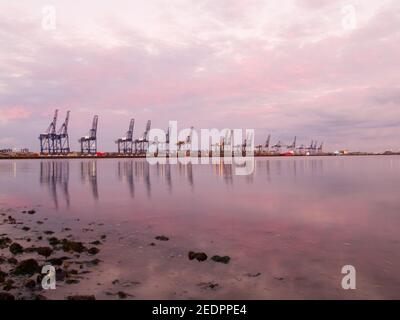 Der Hafen von Felixstowe Docks bei Sonnenuntergang zeigt Kräne und gestapelte Container. Stockfoto