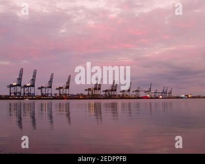 Der Hafen von Felixstowe Docks bei Sonnenuntergang zeigt Kräne und gestapelte Container. Stockfoto