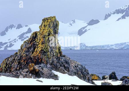 Mehrfarbiger Felsen mit Moos darauf und verschneiten Bergen Im Hintergrund auf Half Moon Island in der Antarktis Stockfoto