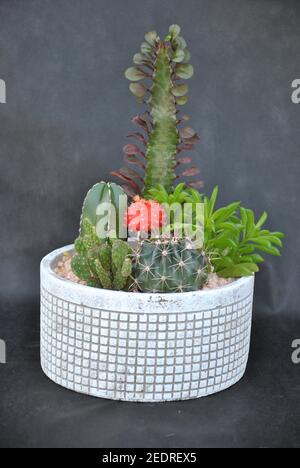 Blumenstrauß von verschiedenen Blumen Stockfoto