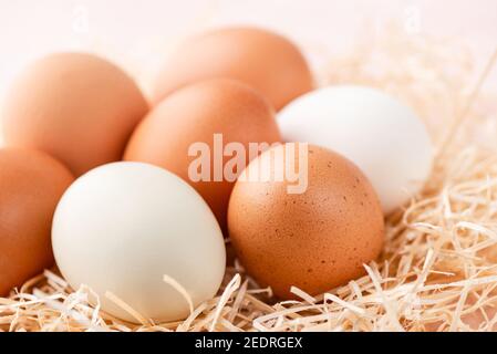 Verschiedene Farbe Hühnereier in Nest Nahaufnahme Ansicht Stockfoto