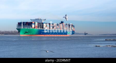 Zwei große Containerschiffe verlassen den Hamburger Hafen an der Elbe. Eisscholle auf dem Fluss und Möwen in der Luft. Stockfoto