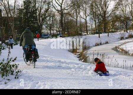 ZUTPHEN, NIEDERLANDE - 12. Feb 2021: Winterszene mit Vater auf einem Fahrrad auf einem verschneiten Wanderweg Spur schleppen sein Kind entlang auf einem Seil sitzen auf KI Stockfoto