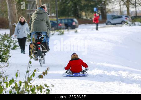 ZUTPHEN, NIEDERLANDE - 12. Feb 2021: Vater fährt auf einem Fahrrad auf einer verschneiten Gehwegspur und schleppt sein Kind mit einem Seil, das auf einer Art Schlitten sitzt Stockfoto