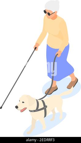 Blinde ältere Frau mit Stock und Blindenhund isoliert auf weißem Hintergrund. Isometrische Darstellung des flachen Vektorgrafikes. Stock Vektor
