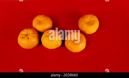 5 Mandarinorangen für die chinesische Neujahrfeier und Dekoration Auf rotem Hintergrund Stockfoto