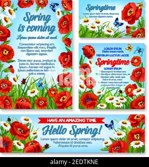 Hallo Frühling Blumenbanner und Frühlingsferien Grußkarte Vorlage. Blühende Blume von Gänseblümchen und Mohn auf Frühlingsgrasfeld mit fliegender Butter Stock Vektor