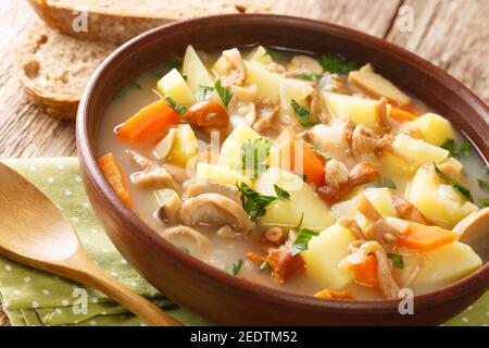 Tschechische Suppe mit Pilzen und Gemüse Nahaufnahme in einer Schüssel auf dem Tisch. Horizontal Stockfoto