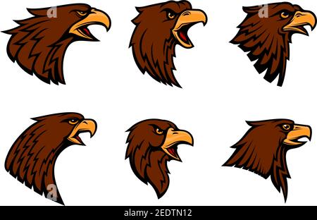 Hawk Vektor-Symbole für Sport-Team Maskottchen Emblem oder Blazon. Isoliertes Abzeichen des harten Adlers Greifen oder Geier Vogel Symbol mit Schnabel für Heraldik, militar Stock Vektor