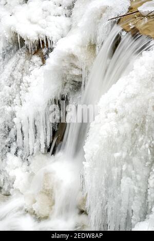 Ravensburg, Deutschland. Februar 2021, 15th. Eiszapfen so dick wie eine Faust hängen vom Wasserfall im Rinkenburger Tobel. Durch die Kälte ist der Wasserfall fast gefroren. Die Schlucht und der Wasserfall sind seit 2005 Natura 2000 Schutzgebiete der Europäischen Union. Quelle: Felix Kästle/dpa/Alamy Live News Stockfoto