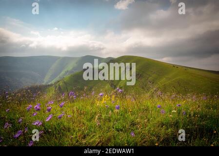 almwiese mit hellgrünem Gras, das von der Sonne beleuchtet wird Und Wolken am Himmel Stockfoto