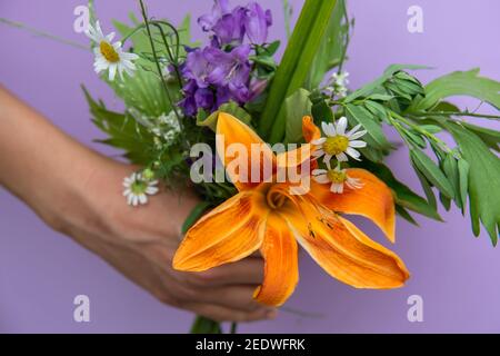 Ein Strauß von bunten Blumen und einer orangen Lilie in der Hand einer Frau auf einem lila Hintergrund. Das Konzept der Geschenke Stockfoto
