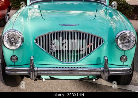 1956 Austin Healey '100 BN 2' auf der Ausstellung 'Cars on Fifth' - Naples, Florida, USA Stockfoto