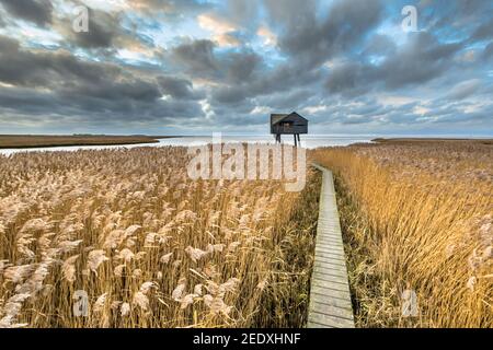 Holzweg durch Salzgezeitensumpfs führt zu Sternwarte verstecken im Natura 2000-Gebiet Dollard, Provinz Groningen, Niederlande. Landschaftsaufnahme Stockfoto