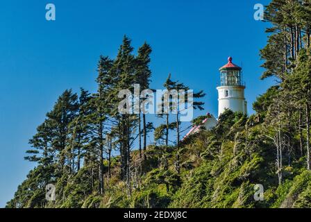 Küste in der Nähe von Heceta Head Leuchtturm in der Ferne sichtbar auf einer Klippe in der Nähe von Florence, Oregon, USA Stockfoto