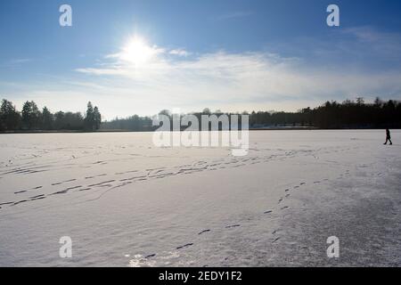 14. Februar 2021, Brandenburg, Rheinsberg: Der mit Eis und Schnee bedeckte Grienericksee auf Schloss Rheinsberg. Foto: Soeren Sache/dpa-Zentralbild/ZB Stockfoto