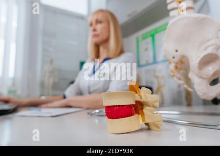 Nahaufnahme des Wirbelmodells auf dem Tisch in der Nähe einer Ärztin im Krankenhaus. Stockfoto