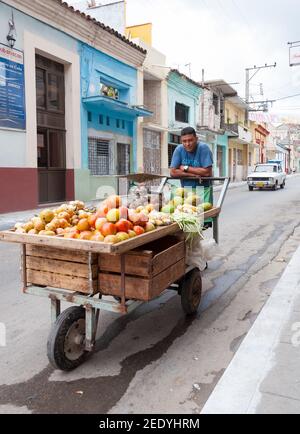 Kuba beginnende Marktgesellschaft: Straßenfrucht-Verkäufer trägt Waren auf einem Wagen auf der Straße kubanische Stadt mit dem alten Auto im Hintergrund Stockfoto