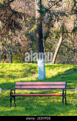 Stadtpark im frühen Frühjahr. Bank auf der Wiese im Schatten der Bäume vor dem Wanderweg. Schöne städtische Naturlandschaft an einem sonnigen Tag Stockfoto