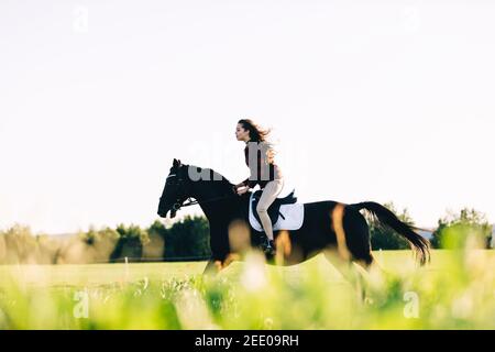 Mädchen stürmt durch das Feld auf einem Lorbeerpferd. Tiere und Natur. Reiten. Stockfoto