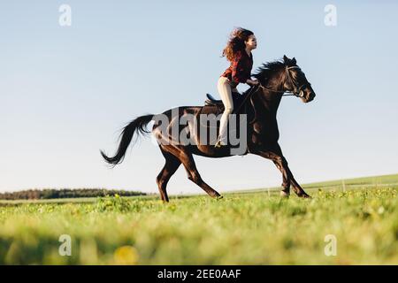 Junges Mädchen galopaden auf einer Bucht reinrassige Pferd. Im Sommer Aktivitäten im Freien. Tiere. Stockfoto