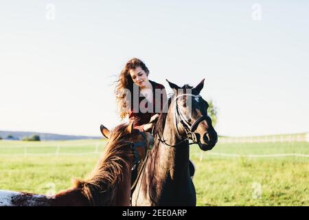 Ein Mädchen sitzt auf einem Lorbeerpferd und das andere Pferd nähert sich ihr. Menschen und Tiere. Stockfoto