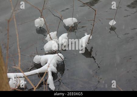 Winter im Stadtpark Staddijk Stockfoto