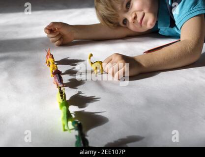 Vorschuljunge spielt mit Schatten von Spielzeug-Dinosaurier in Reihe stehen. Kreative Ideen für Kinder-Unterhaltung zu Hause. Leidenschaft für Paläontologie Stockfoto