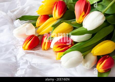 Weiße, gelbe und rote Tulpen Bouquet mit Wassertropfen - weißer Stoff Hintergrund Stockfoto