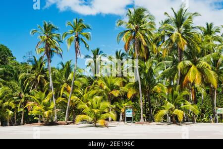 Strände von Coiba Island, santa catalina, Panama, Mittelamerika Stockfoto