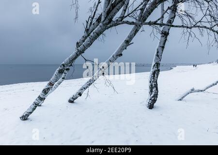 Birken an einem schneebedeckten Strand. Wellenbrecher und zwei kleine Leuchttürme im Hintergrund. Wintersaison. Gdanska Bay, Polen. Stockfoto