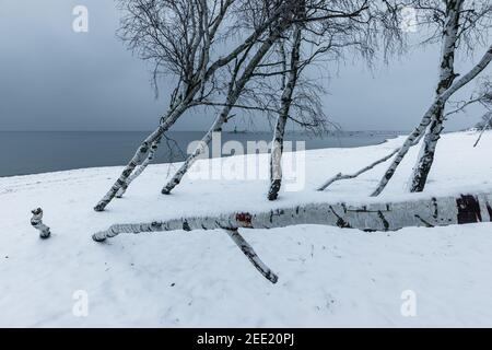 Birken an einem schneebedeckten Strand. Wellenbrecher und zwei kleine Leuchttürme im Hintergrund. Wintersaison. Gdanska Bay, Polen. Stockfoto