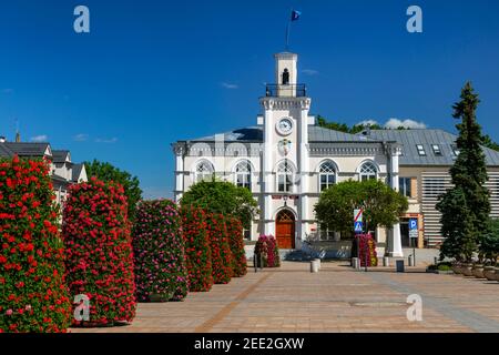 Ciechanow, Rathaus Polen Stockfoto